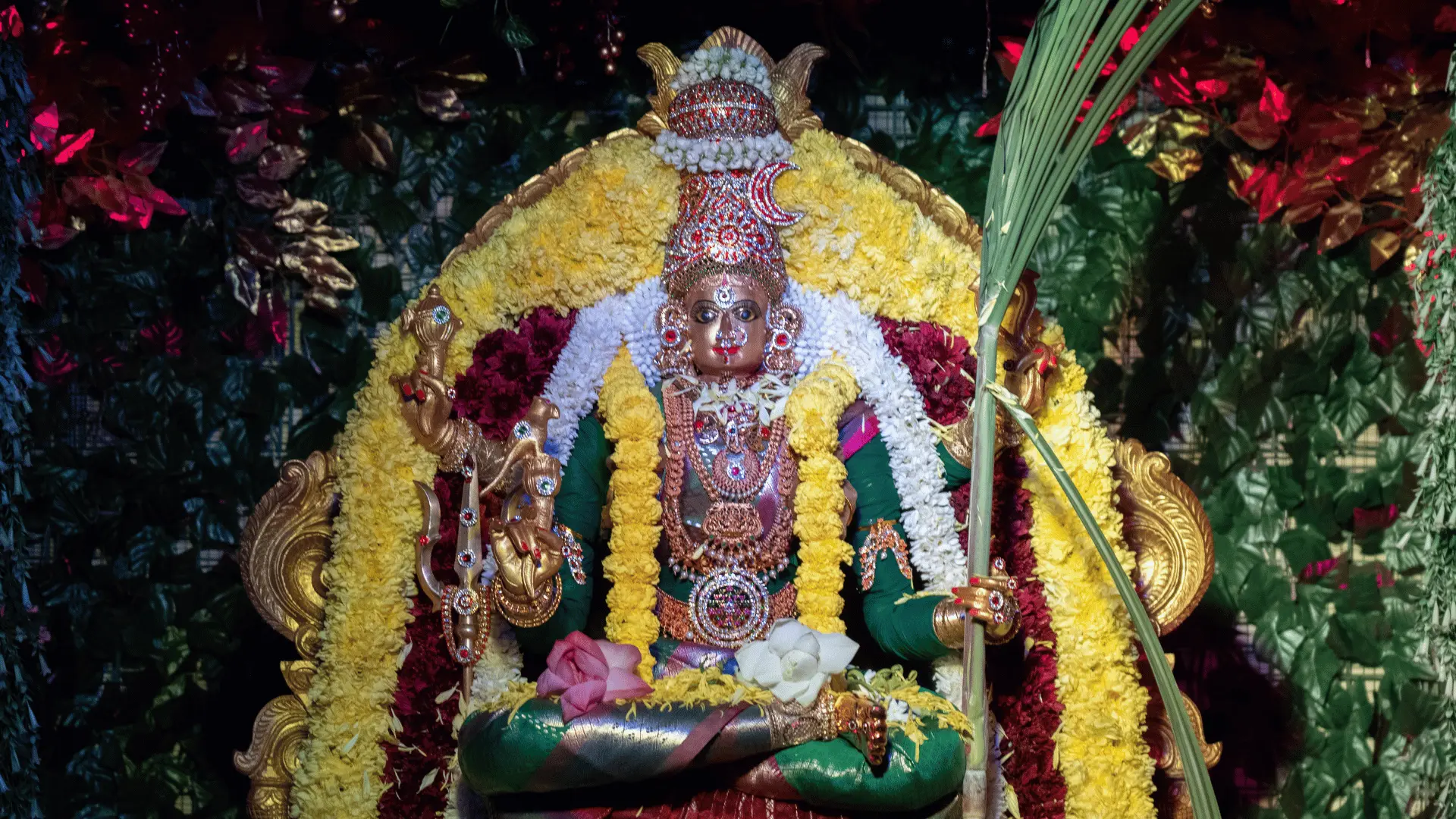 7C Life Divine Mother